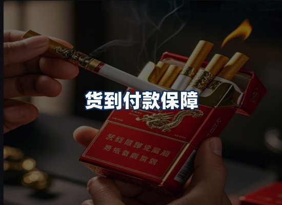 专业团队办公环境